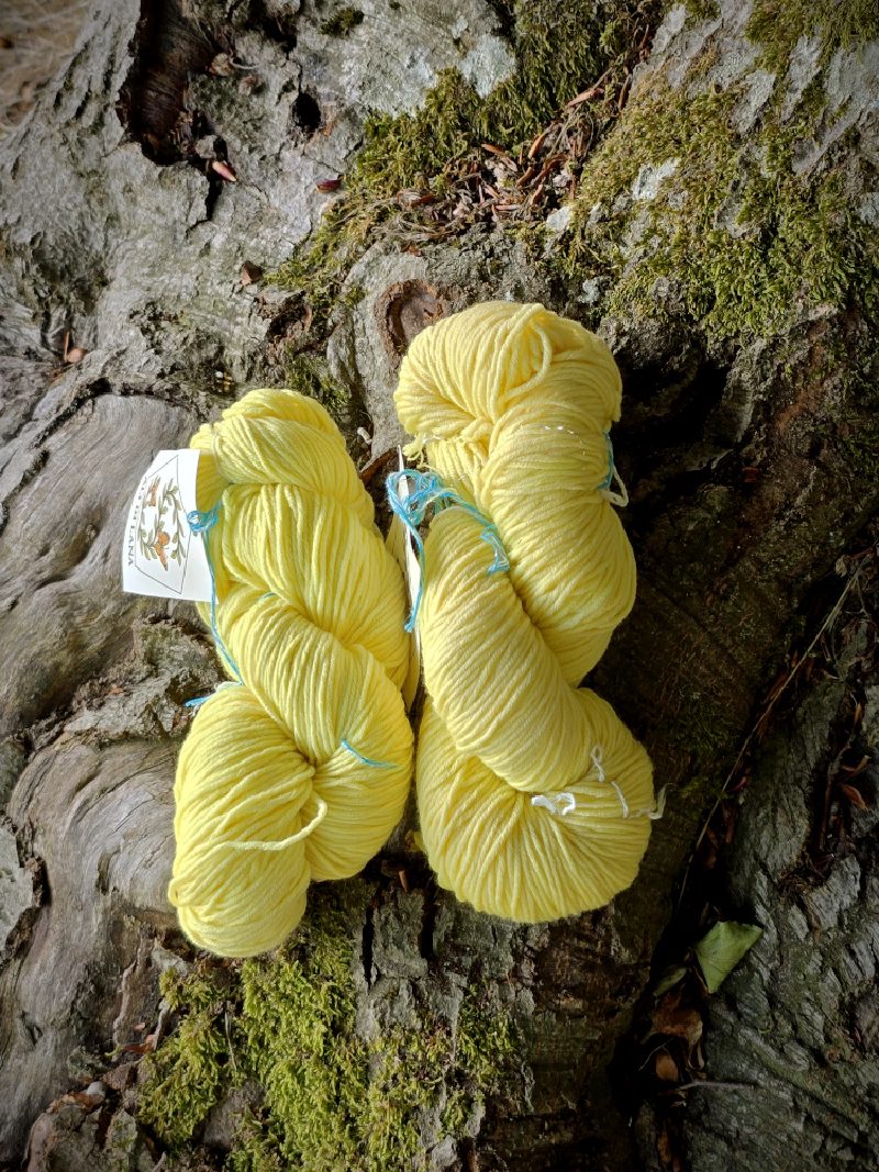 Limone